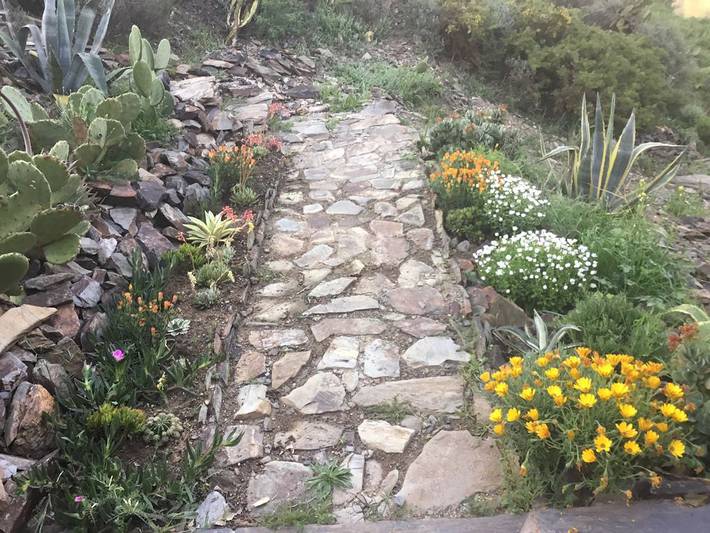 Gîte pour 4 personnes, avec piscine ainsi que jardin et terrasse, animaux acceptés dans Occitanie - 3