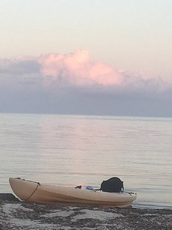 Ganze Wohnung, Oceanfront Sandy Beach Ferienhaus Einheit 2 in Marathon, Monroe County