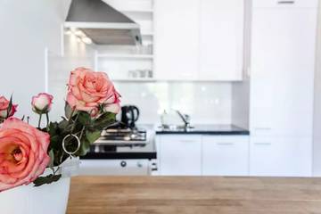 Vakantieappartement voor 4 Personen in Warmond, Nederlandse Noordzeekust, Afbeelding 3