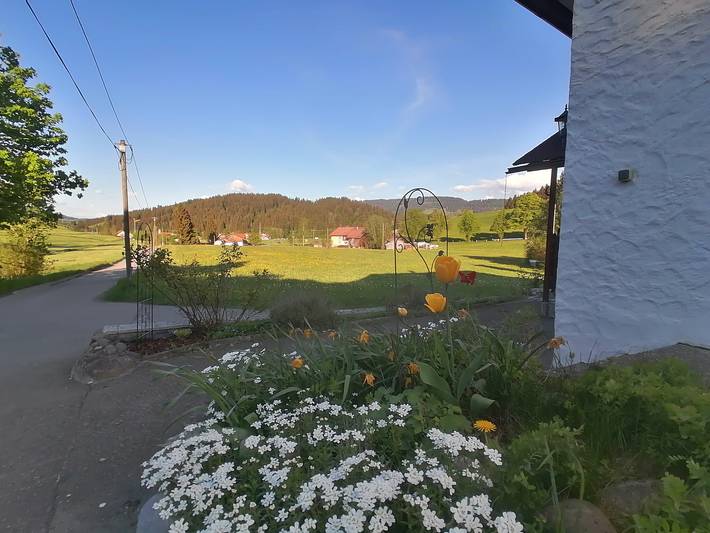Ferienhaus für 6 Personen, mit Terrasse und Pool sowie Garten, mit Haustier in Landkreis Lindau - 2