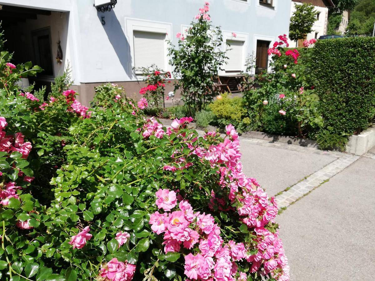 Ganze Wohnung, Ferienwohnung Walker in Kreuzeckgruppe, Oberdrauburg