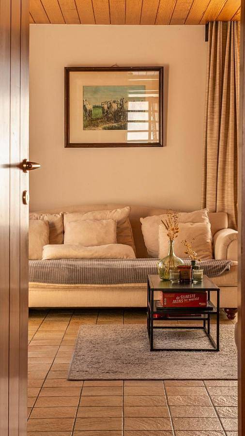 Villa pour 15 personnes, avec jardin, animaux acceptés dans Oostduinkerke