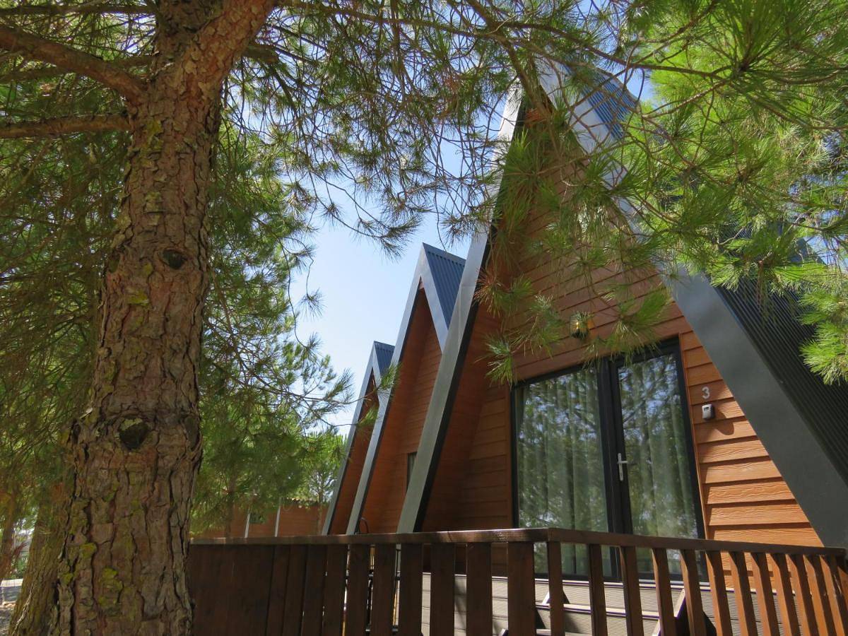 Chalet in Ciborro, Distrito de Évora