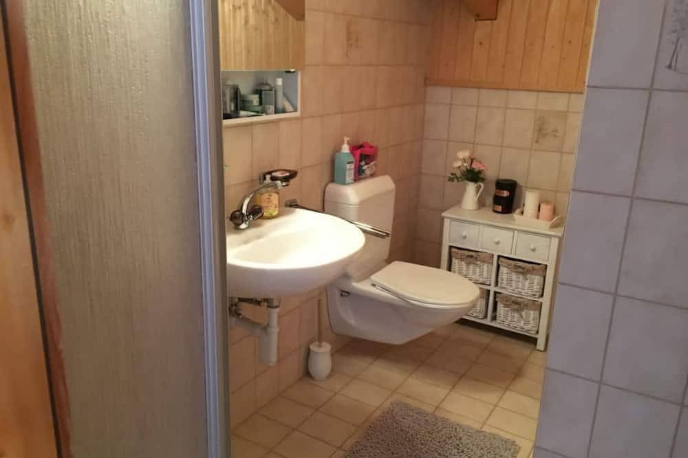 Ganze Wohnung, Uf am Stutz, Obersaxen-Misanenga, (Obersaxen), 34024B in Obersaxen, Obersaxen-Mundaun