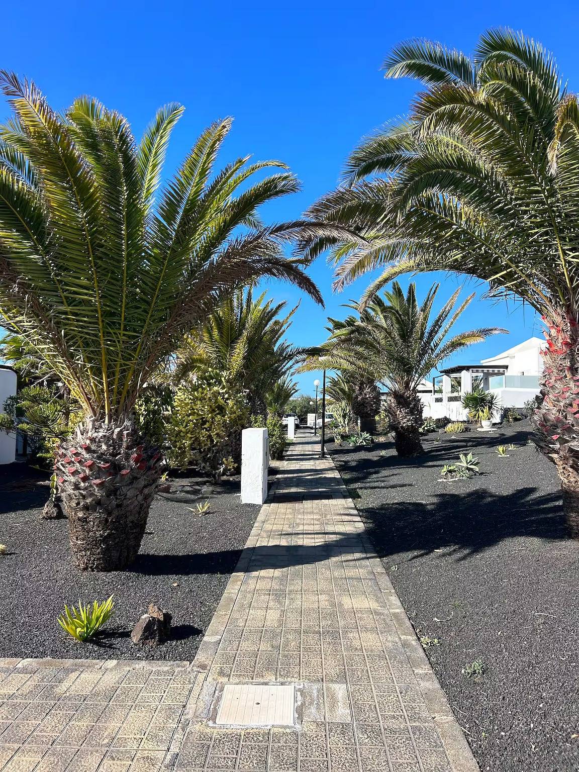 Casa Oasis Playa Blanca – Appartement élégant à 200 m de la mer in Playa Blanca, Yaiza