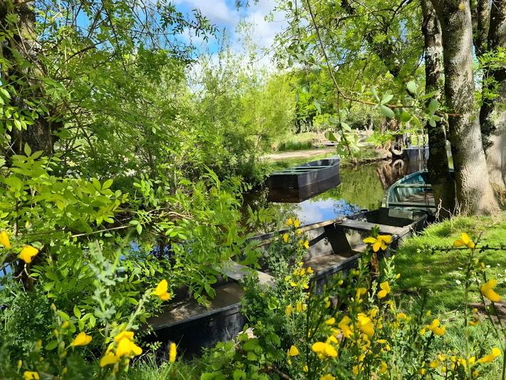 Chambre d’hôte pour 2 personnes, avec jardin dans Parc naturel régional de Brière - 3