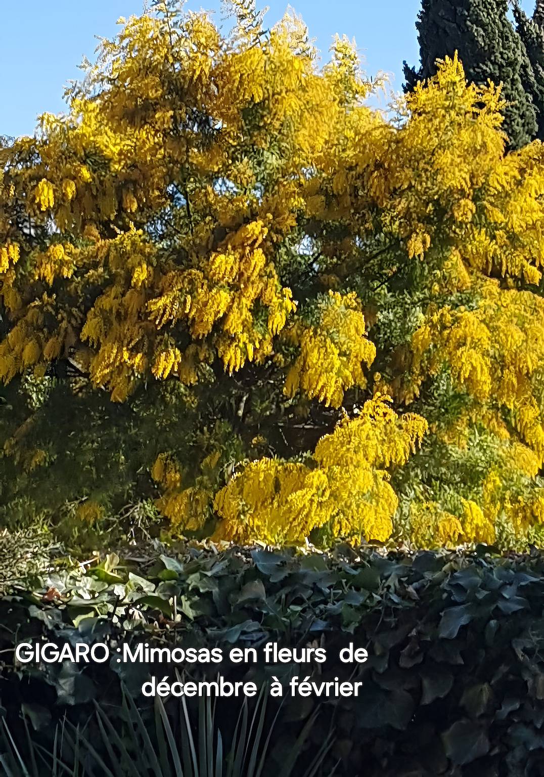 Apartamento entero, Apartamento 'Un Pequeño Paraíso en Gigaro' con vistas al mar, Wi-Fi y aire acondicionado in Gigaro, La Croix-Valmer
