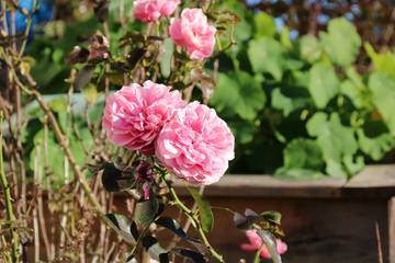 Ferienwohnung für 2 Personen, mit Terrasse und Balkon/Terrasse, kinderfreundlich in Anger