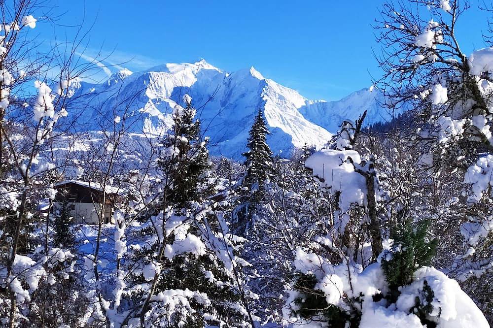 Appartement entier, Vue sans vis à vis face à la chaîne du  Mt Blanc Rdc avec terrasse privée in Cordon, Pays du Mont-Blanc