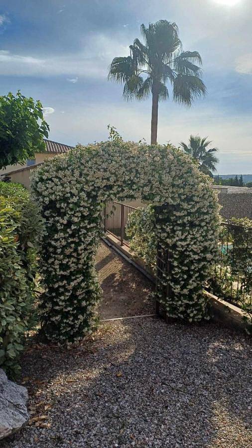 Gîte pour 4 personnes, avec piscine à Tourbes - 4