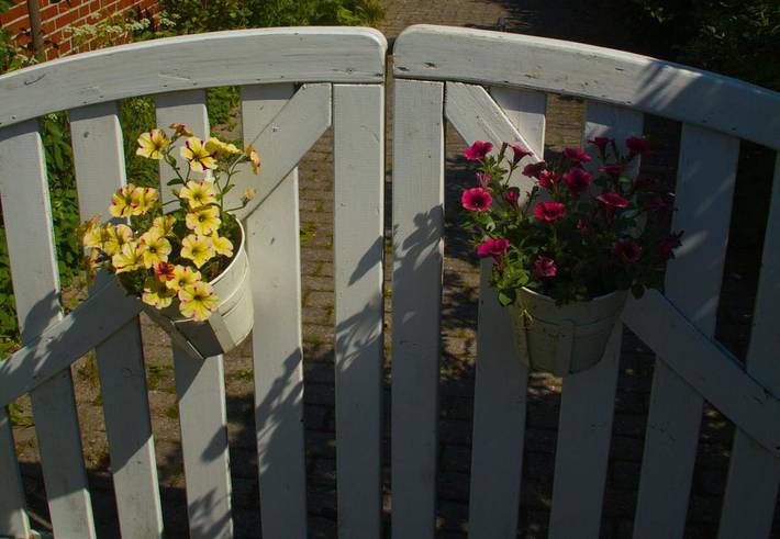 Ferienhaus für 2 Personen, mit Ausblick und Sauna sowie Garten, mit Haustier in Jemgum - 2