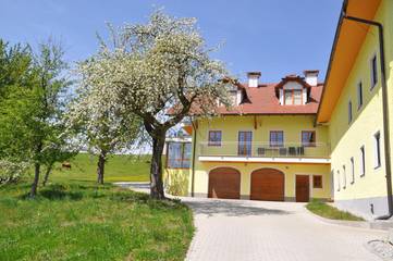 Ferienwohnung für 4 Personen, mit Ausblick und Garten, mit Haustier in Mühlviertel