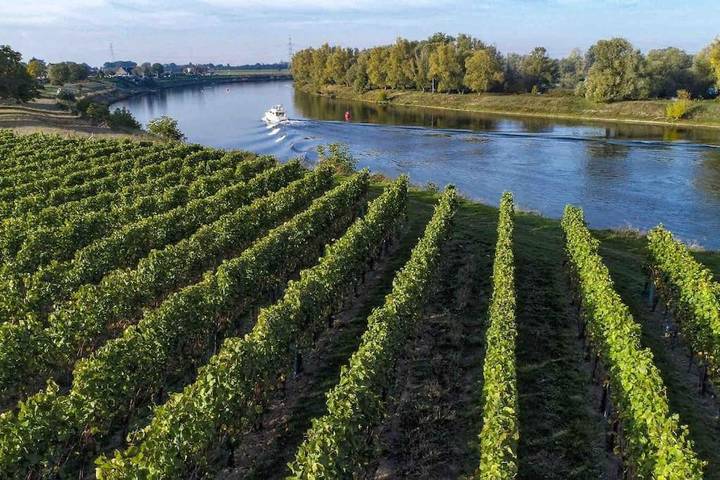 Maison de vacances pour 8 personnes, avec terrasse ainsi que jardin et vue à Maaseik