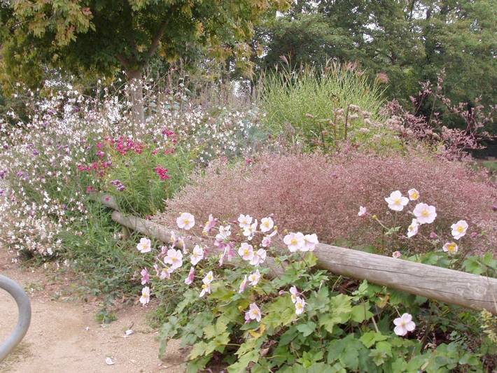 Maison d’hôte pour 2 personnes, avec jardin et vue dans Mayenne - 3