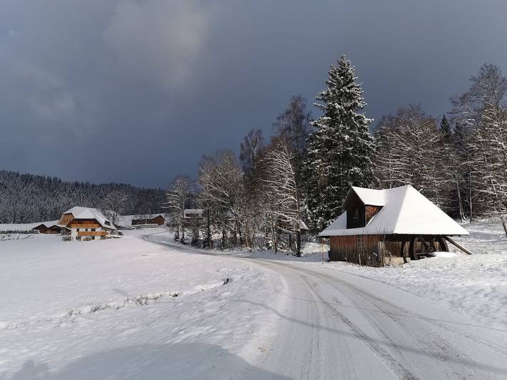 Ferienhaus für 2 Personen, mit Garten und Balkon, mit Haustier im Schwarzwald - 3
