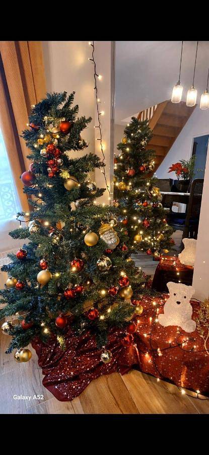 Casa de vacaciones para 6 personas, con jardín y vistas, Familias con niños - 1