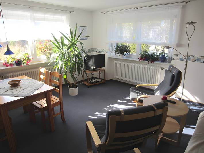 Gîte pour 4 personnes, avec jardin et bassin pour enfant dans Munsingen - 2