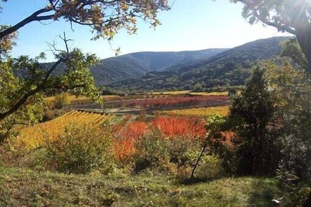 Neues Landhaus im echten provenzalischen Stil, südlich und ruhig, Natur, Charme in Méthamis, Parc naturel régional du Mont-Ventoux