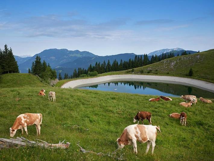 Camping für 3 Personen in Slowenien