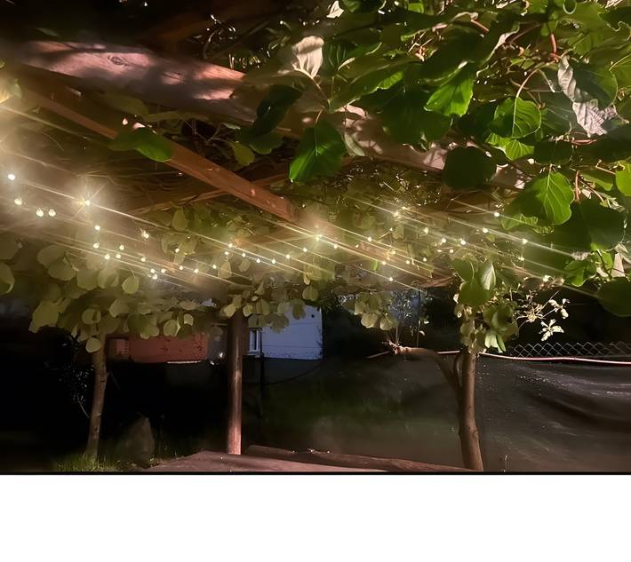 Studio for 2 personer, med have, husdyr tilladt - 1