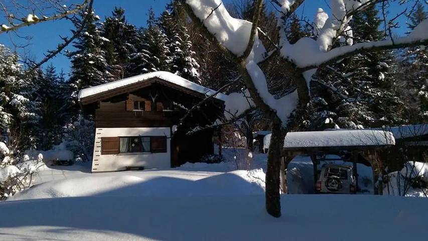 Ferienhaus für 5 Personen, mit Garten im Bregenzerwald - 4