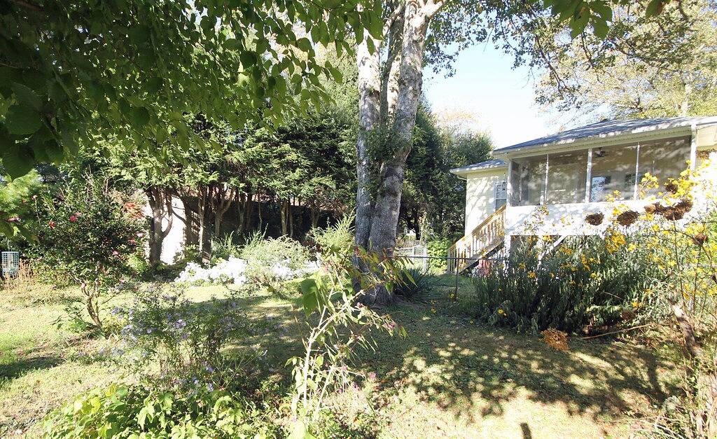 Gehen Sie in die Innenstadt Brevard! Hundefreundlich, Wifi in Brevard, Transylvania County