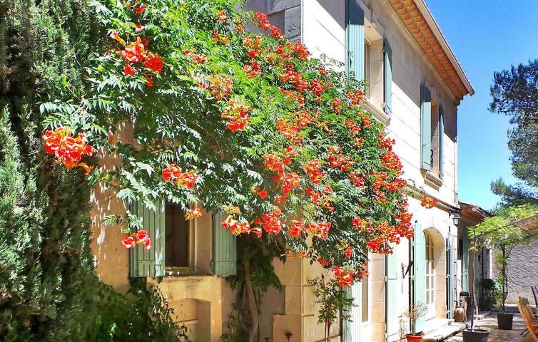 Location de vacances pour 10 personnes, avec terrasse, animaux acceptés à Saint-Rémy-de-Provence - 2