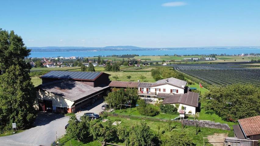 Ferienwohnung für 12 Personen, mit Garten und Balkon in der Schweiz - 2