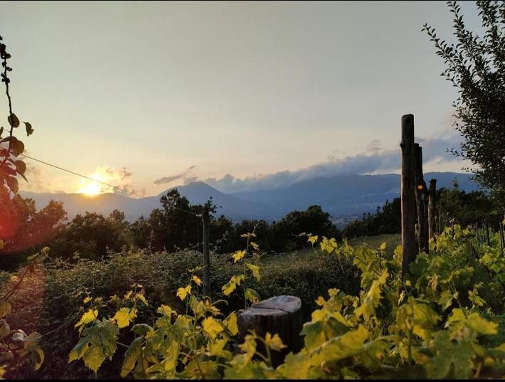 Appartamento per 8 persone, con giardino, con animali domestici in Parco Nazionale Del Pollino