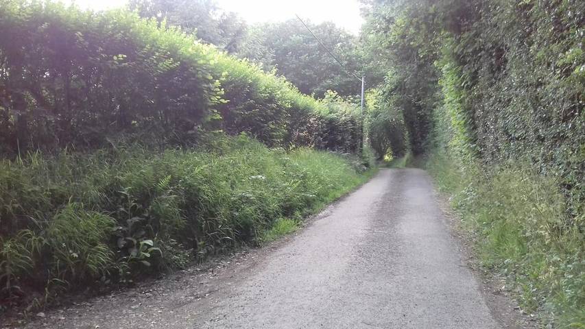 Location de vacances pour 3 personnes, avec jardin à Saint-Sylvestre-de-Cormeilles - 4