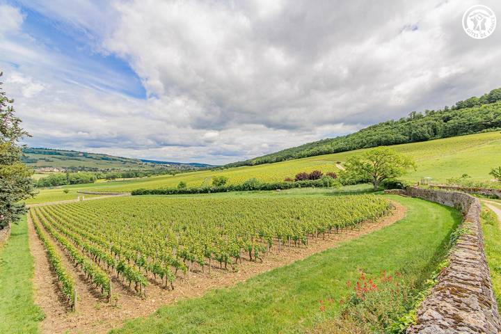 Gîte für 2 Personen, mit Terrasse und Pool in Burgund - 2