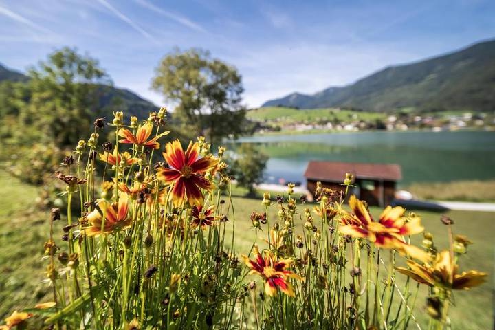 Ferienhaus für 3 Personen, mit Sauna und Seeblick sowie Ausblick und Garten in Thiersee - 2