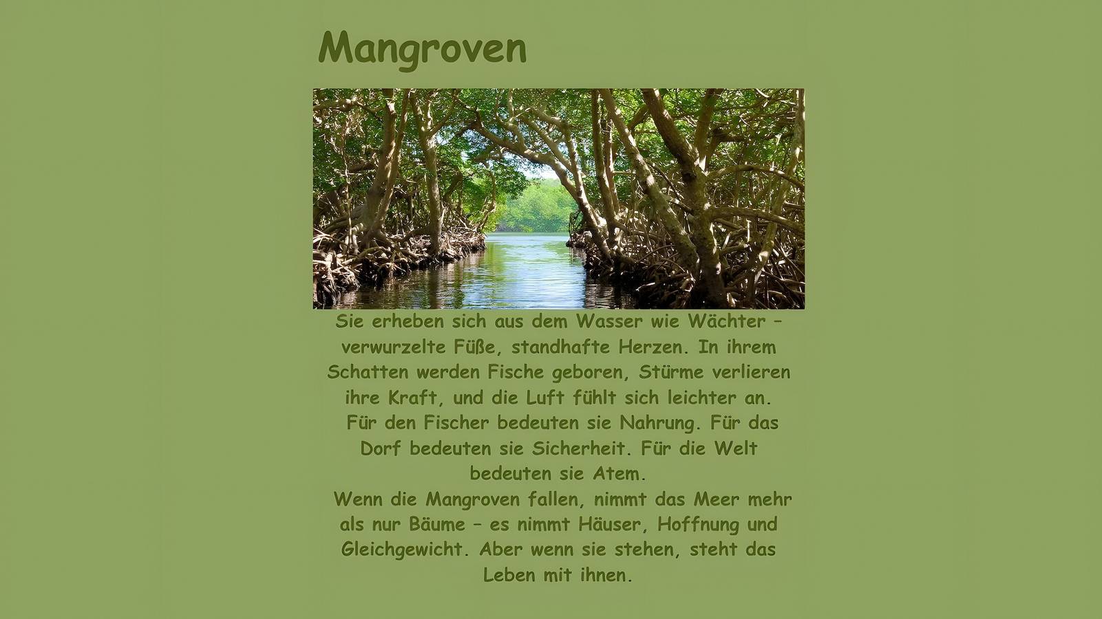 Ganze Wohnung, Apartment 'Nature House Mangroves' – Ruhe, Schutz & alpine Auszeit in Stubaier Alpen, Brenner