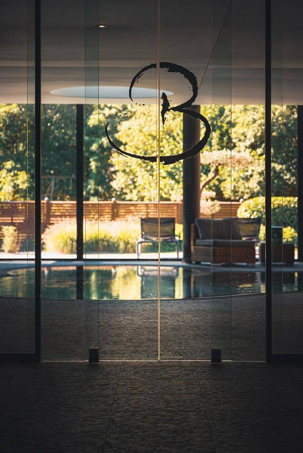 Hôtel pour 4 personnes, avec piscine et sauna ainsi que jacuzzi et jardin à Lembach - 2