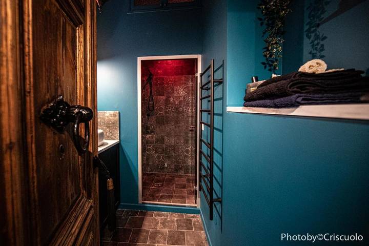 Chambre d’hôte pour 2 personnes, avec sauna, animaux acceptés dans Le Vieux Port (Marseille) - 2