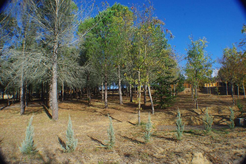 New eco-lodge in the countryside, three minutes from all amenities. in Limoux, Limoux region