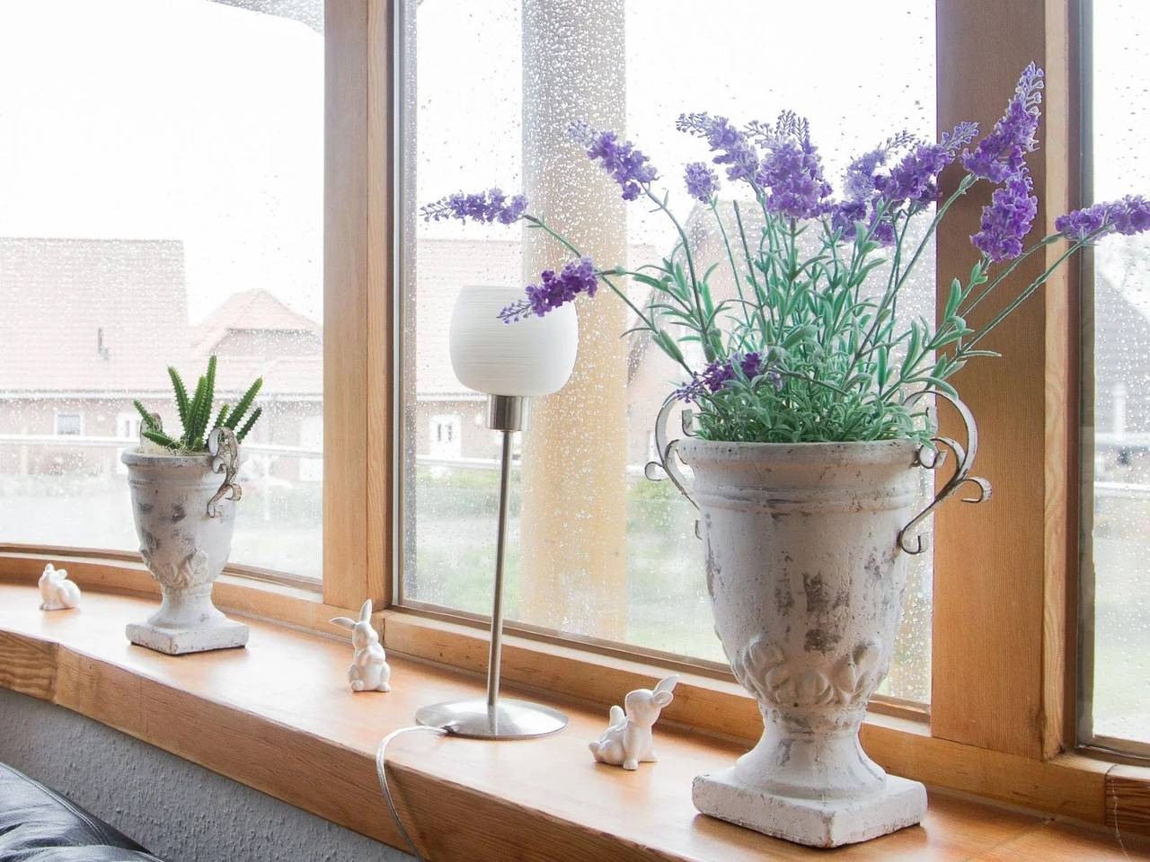 Ganze Wohnung, Moin-Moin in Friedrichskoog-Spitze in Friedrichskoog-Spitze, Friedrichskoog