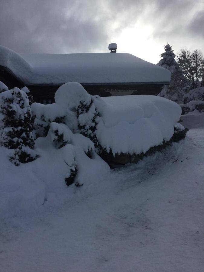 Location de vacances pour 6 personnes, avec jardin et vue à Saint-Pierre-dels-Forcats - 2
