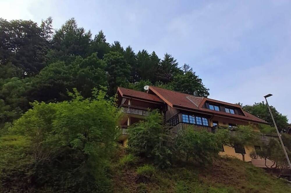 Ganze Wohnung, Ferienwohnung am Teich mit Schwarzwald Plus Karte in Bad Rippoldsau-Schapbach, Mittlerer Schwarzwald