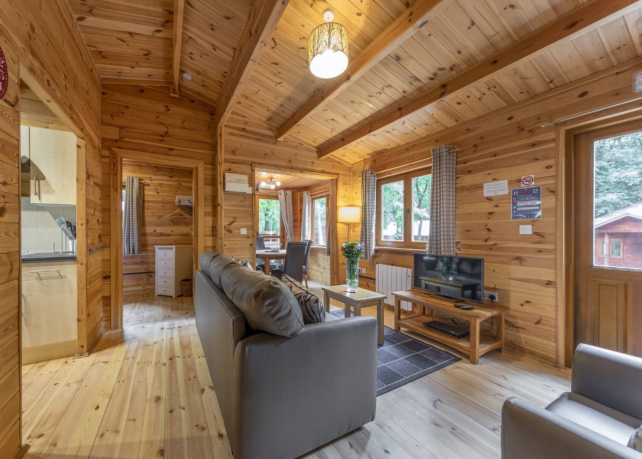 Woodland Beech Lodge in Shropshire