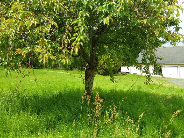 Gîte pour 2 personnes, avec jardin et terrasse à Plouha - 2