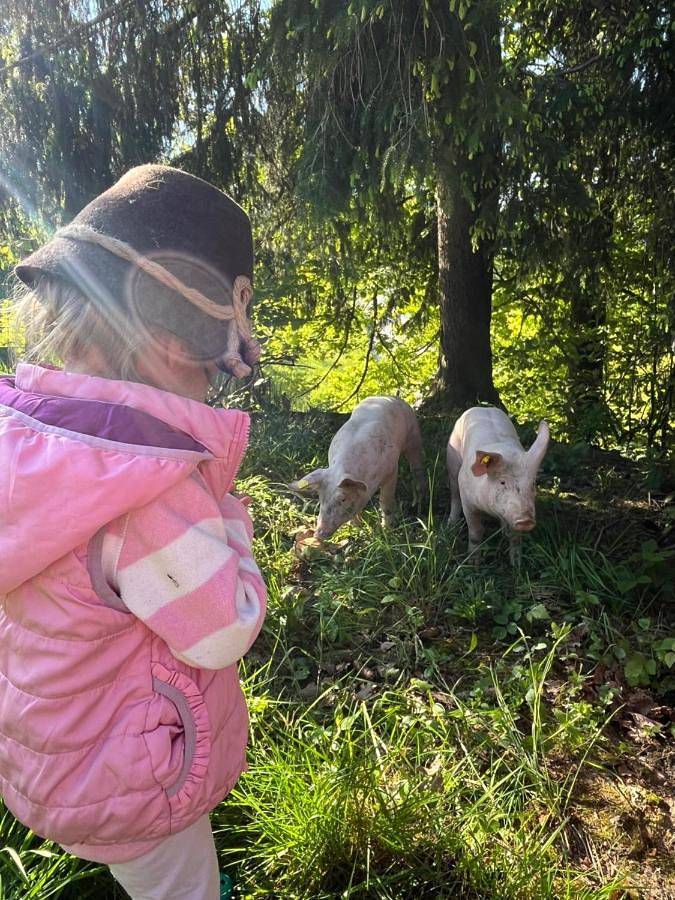 Gîte pour 5 personnes, avec jardin et vue à Hittisau - 3