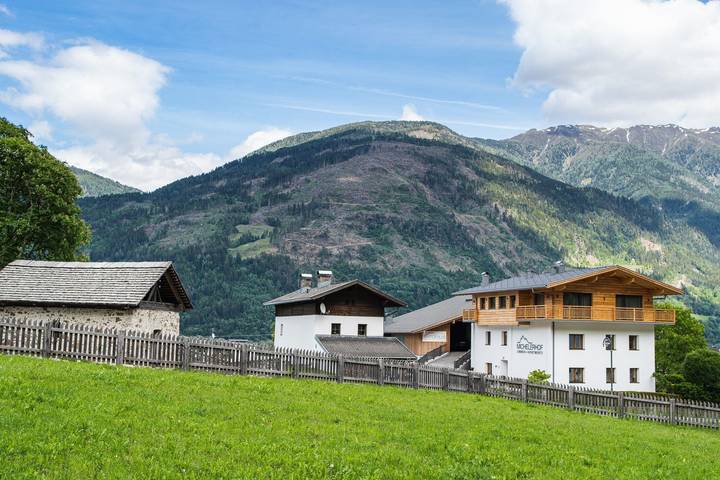 Ferienwohnung für 2 Personen, mit Balkon und Garten sowie Sauna in Osttirol - 3