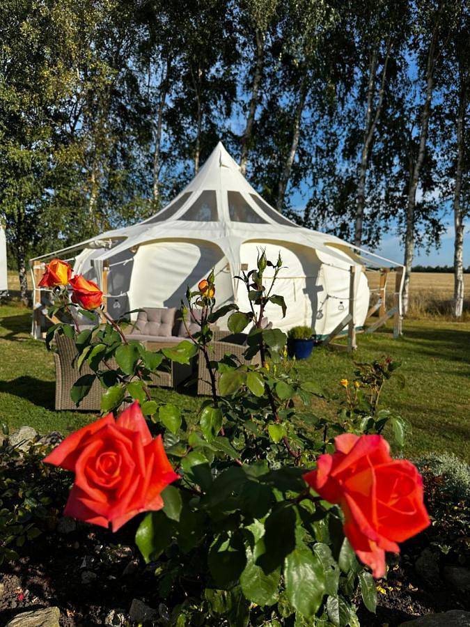 Camping für 6 Personen, mit Terrasse und Garten in Dänemark an der Ostsee