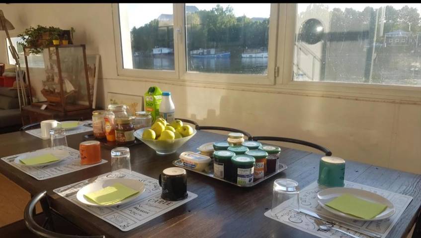 Bateau pour 2 personnes, avec terrasse et vue, animaux acceptés dans Île de France - 3