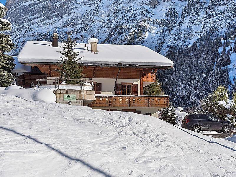Geheel vakantieappartement, 3.5 - Zimmerwohnung Chalet im Zwygarten in Grindelwald in Grindelwald, Grindelwald en omgeving