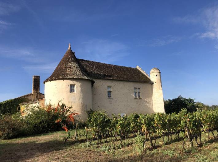 Chambre d’hôte pour 2 personnes, avec sauna et jardin, animaux acceptés en Gironde - 3