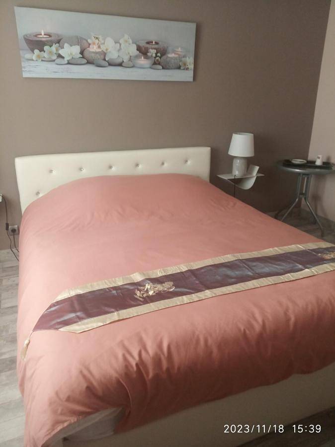 Location de vacances pour 2 personnes, avec vue à Vorey - 2