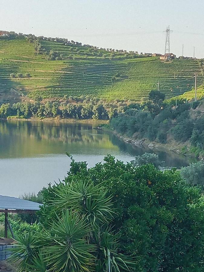 Location de vacances pour 4 personnes, avec jardin et terrasse, animaux acceptés à Lamego - 3