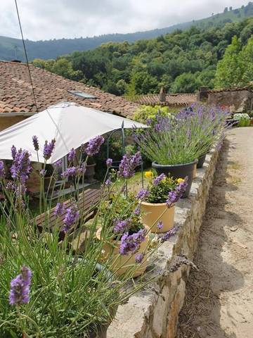 Gîte pour 6 personnes, avec jardin et vue, animaux acceptés à Ganac